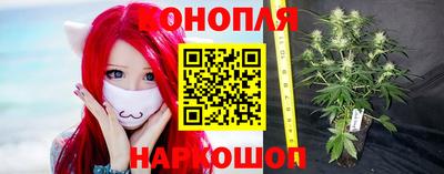 гидропоника Пушкино