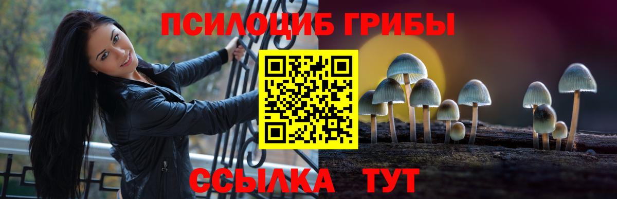 Псков  Галлюциногенные грибы MAGIC MUSHROOMS  Вход с VPN 